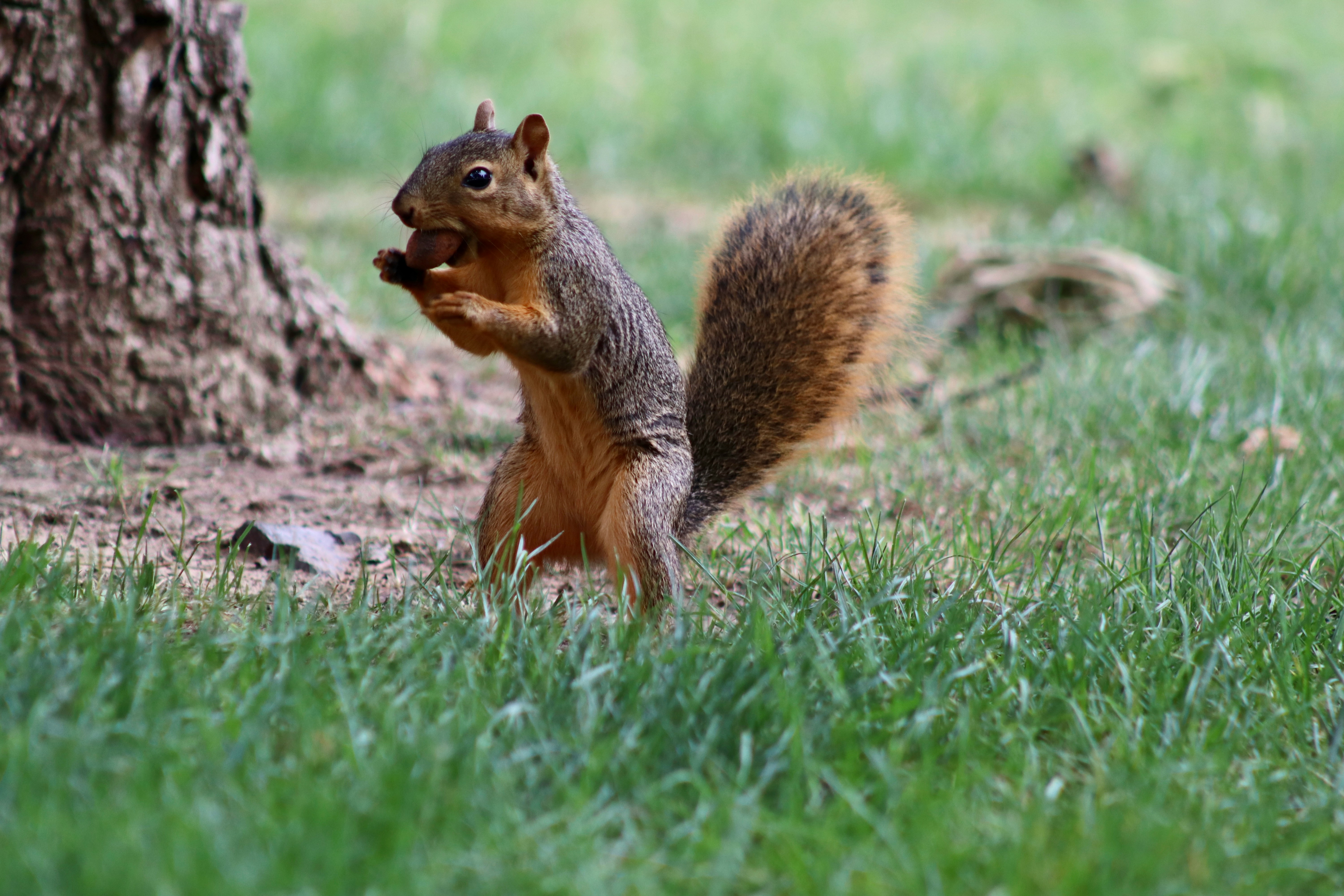 環(huán)保類APP開發(fā)類型合集