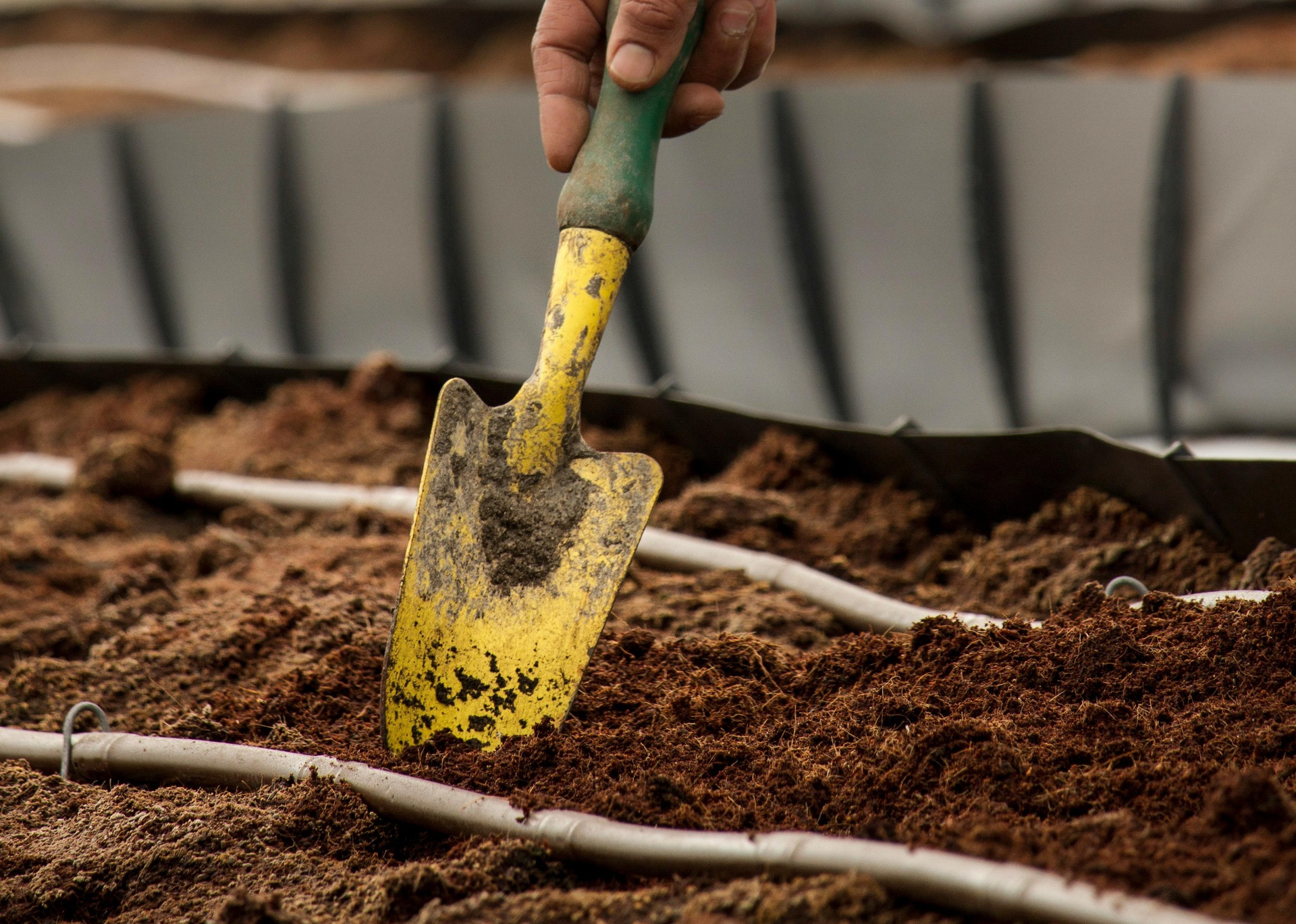 農(nóng)技知識(shí)