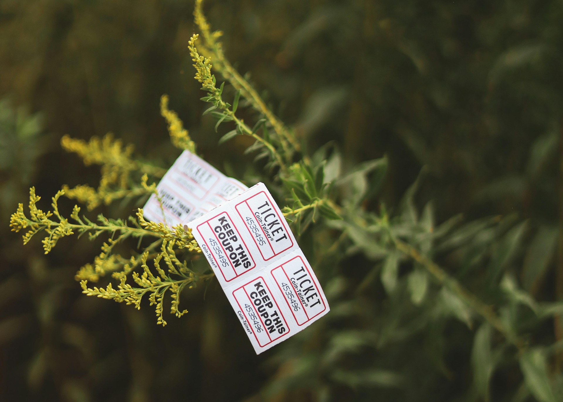 娛樂實時榜單推薦