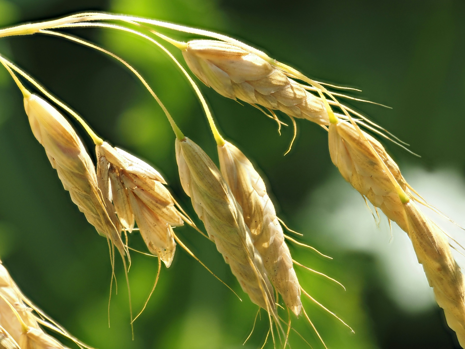 農(nóng)資電商管理