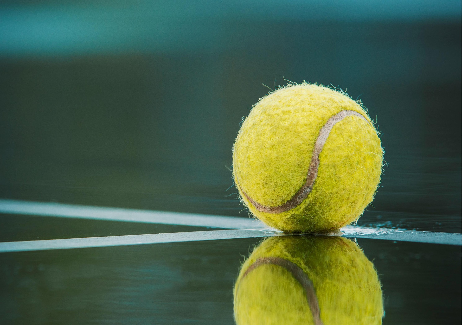 運動設(shè)施管理