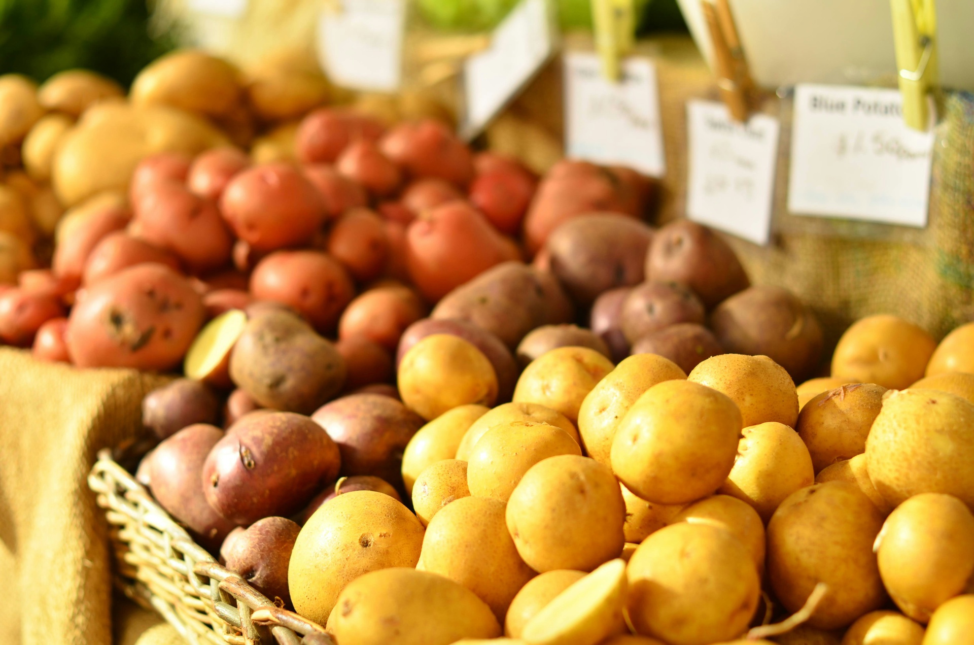 市場行情數(shù)據(jù)