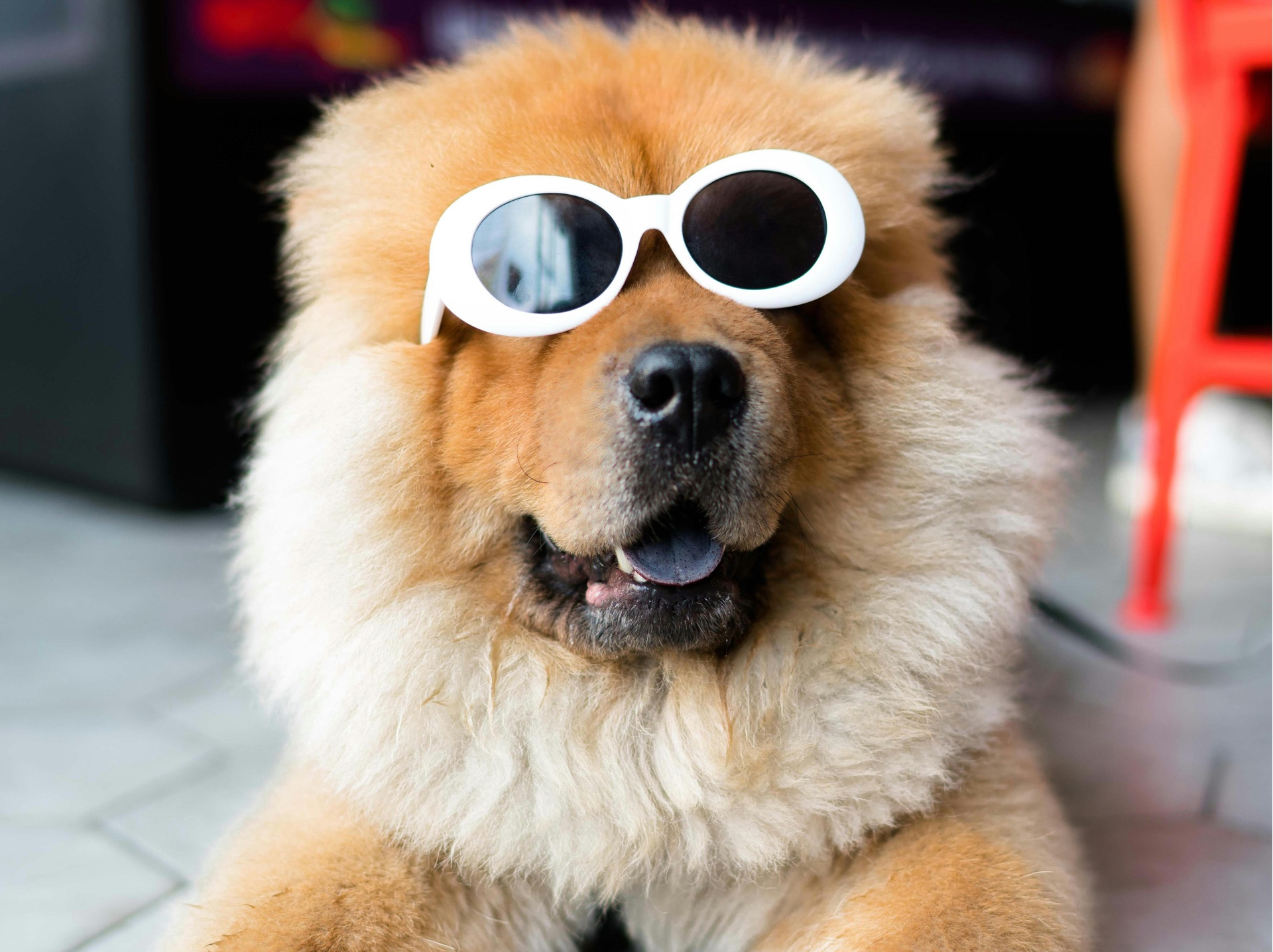 北京娛樂搞笑類App開發(fā)，開啟歡樂新引擎