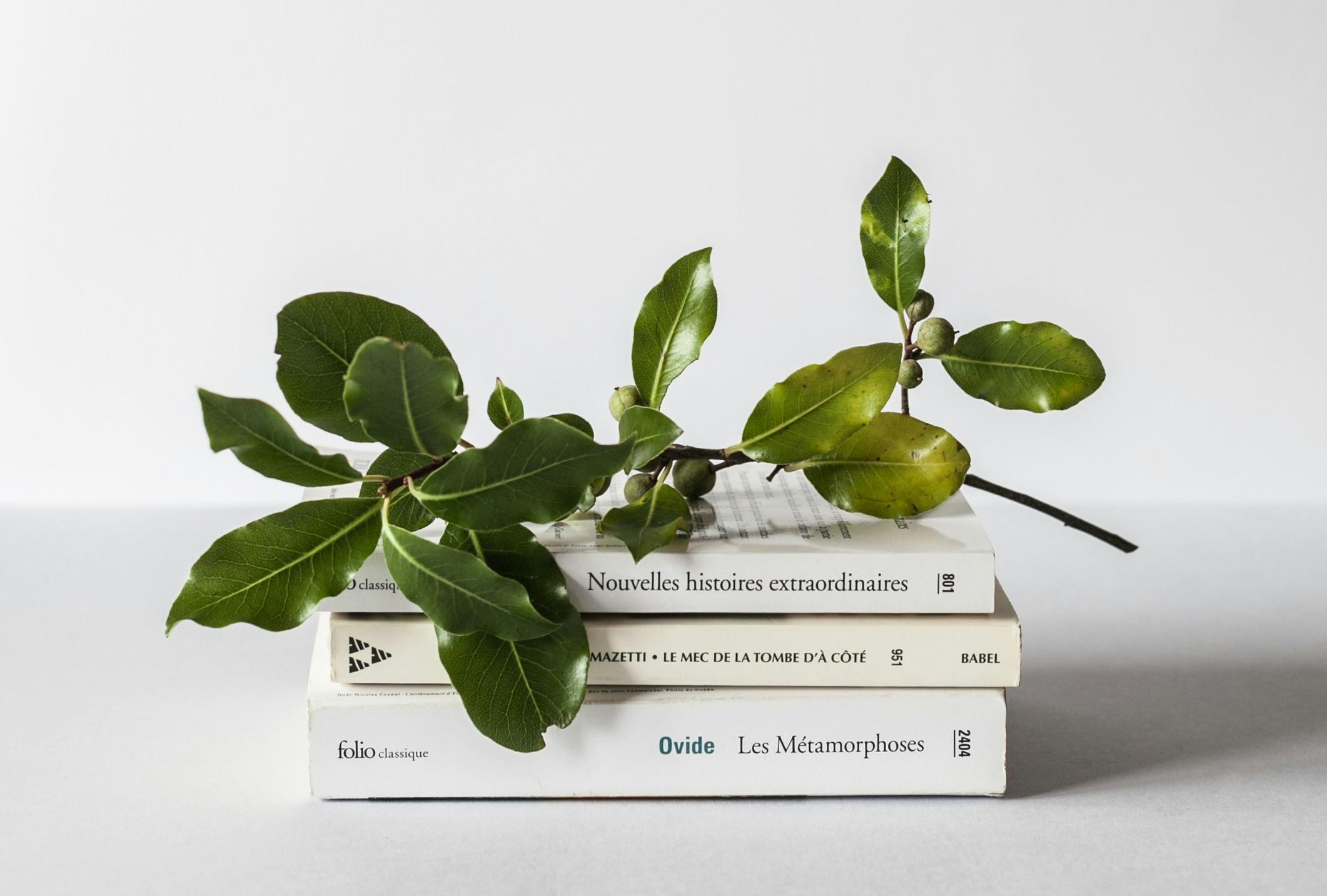 煙臺誦讀配樂小程序開發(fā)有哪些核心功能？