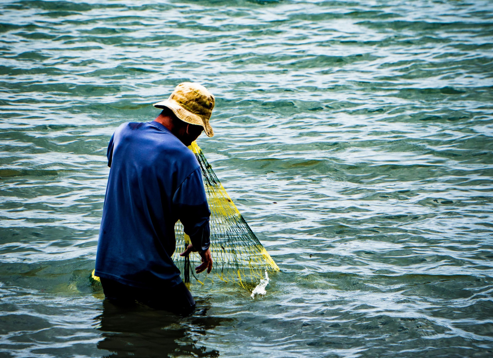 唐山水產(chǎn)養(yǎng)殖App開(kāi)發(fā)，打造智能化魚(yú)塘管家